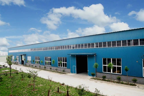 About Our Company